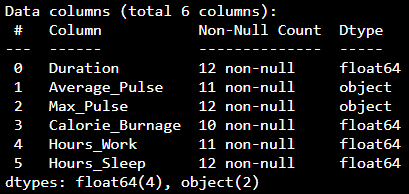 Datatype float and object